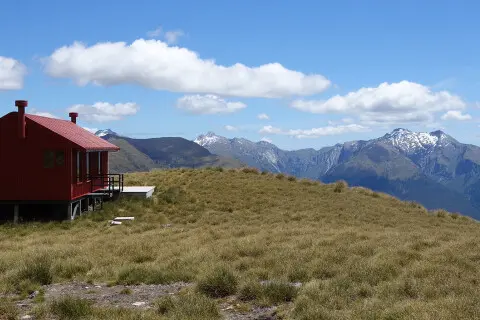 Thumbnail of Brewster Track | Tom Harris