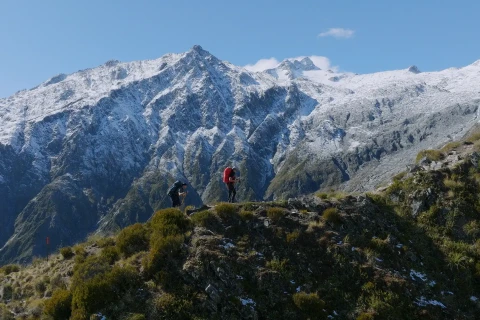 Thumbnail of Brewster Track | CREDIT NZ Mountain Safety Council