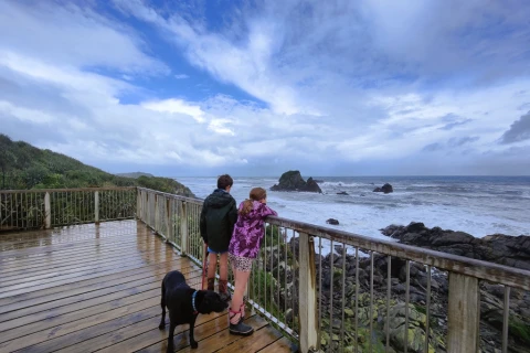 Thumbnail of Cape Foulwind.CREDIT Antonia ODonnell Plan My Walk