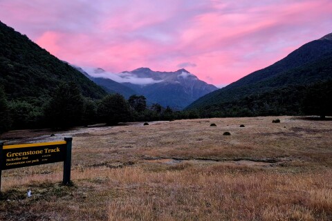 Thumbnail of Greenstone Caples | Credit Fiona Bersani