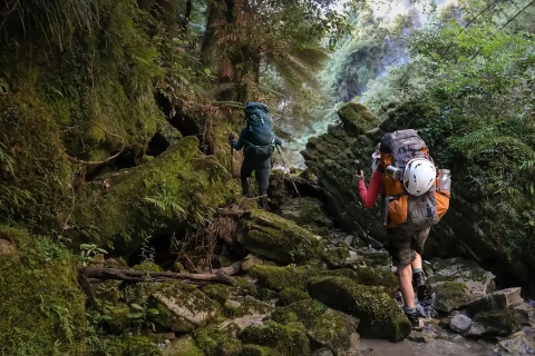 Thumbnail of Inland Pack Track | CREDIT Zack Williams | Plan My Walk