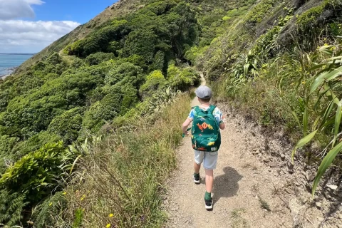Thumbnail of Paekakariki Escarpment | CREDIT Adrian Miller Plan My Walk