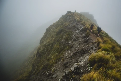 Thumbnail of Ridgeline Holdsworth area Wairarapa | CREDIT Caleb Smith