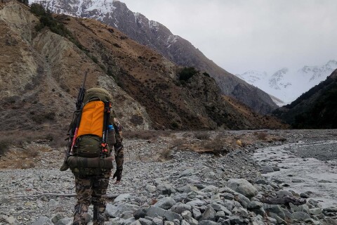 Thumbnail of Roar | David