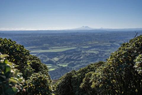 Thumbnail of Ruahine Ranges | CREDIT Andrew C | Plan My Walk