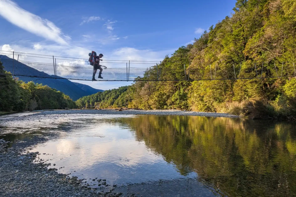 Walking Poles: What You Need to Know — NZMSC