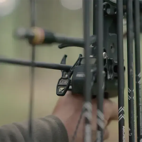 Bow hunt bow aim | Hunters Club