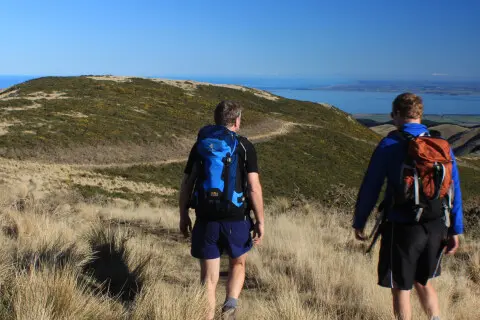 Thumbnail of Packhorse Hut, Canterbury | Nathan Watson
