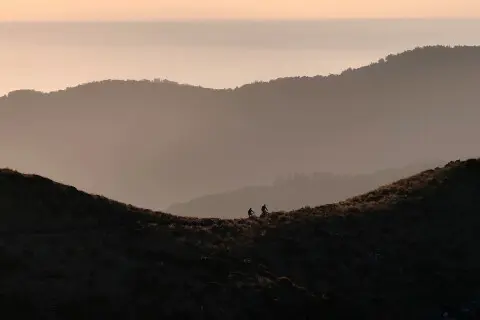 Thumbnail of Paparoa Track