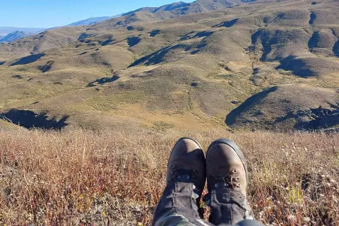 Thumbnail of Pisa Range