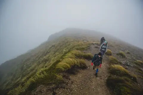 Thumbnail of Powell.CREDIT Caleb Smith