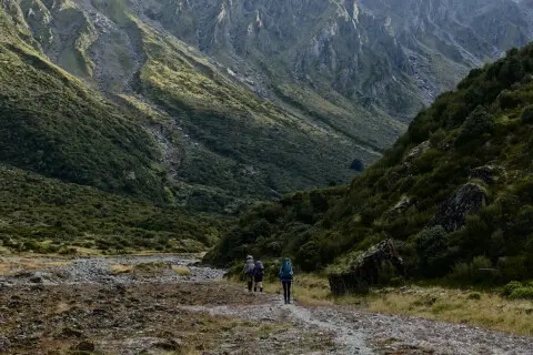 Thumbnail of Rees Dart Track Fiordland