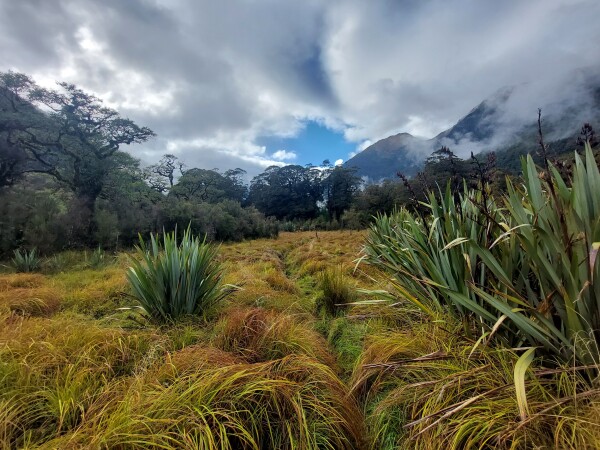 Richard Wells, Haast Hunting