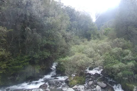 A river running through a dense gorge