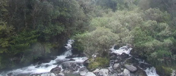 A river running through a dense gorge