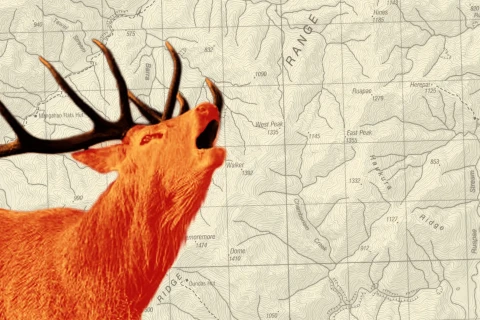 Thumbnail of Roar eDM