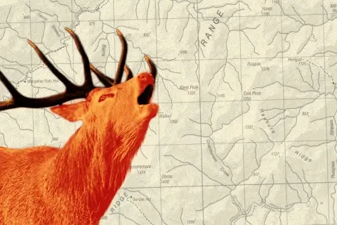 Thumbnail of Roar eDM