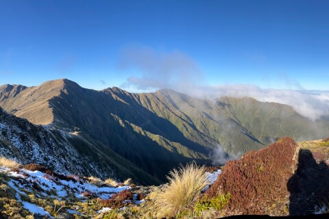 Thumbnail of Southern Crossing | CREDIT Nikki Joseph | Plan My Walk