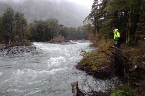 Thumbnail of Travers River Nelson Lakes.CREDIT Nathan Watson