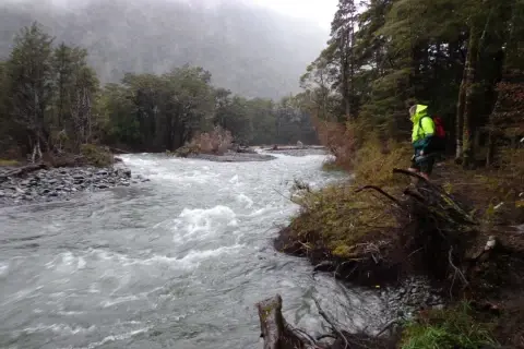 Thumbnail of Travers River Nelson Lakes.CREDIT Nathan Watson