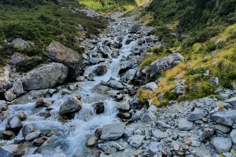 View of tramper hiking up a valley beside the West Branch of the Sabine River 