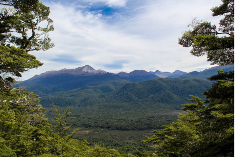 Thumbnail of View from Circle Track