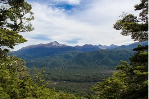 Thumbnail of View from Circle Track
