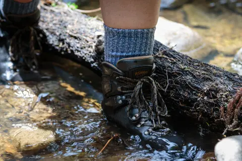 Thumbnail of Tramp through water