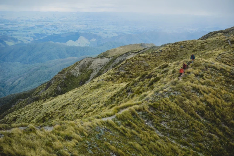 powell+reuben+47 8682