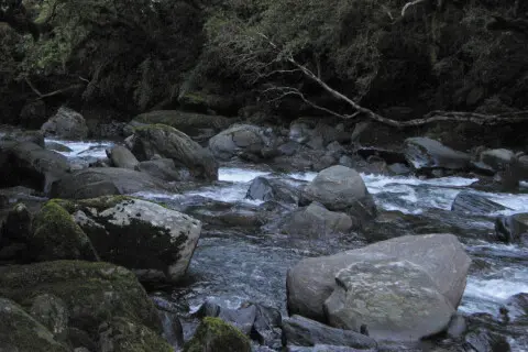 Thumbnail of river crossing story