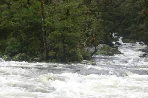 Thumbnail of roar river