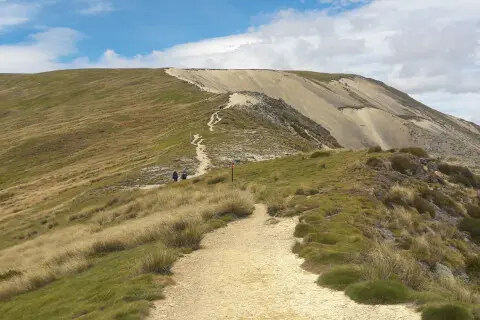 Thumbnail of robert ridge