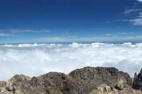 Thumbnail of taranaki header