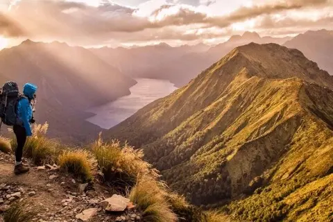 Thumbnail of young adventuress top tracks-header